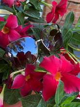 Load image into Gallery viewer, Mariah - Honey Juliet Honey Juliet Tortoise Brown