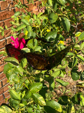 Load image into Gallery viewer, LEE - Honey Juliet Honey Juliet Brown Tortoise